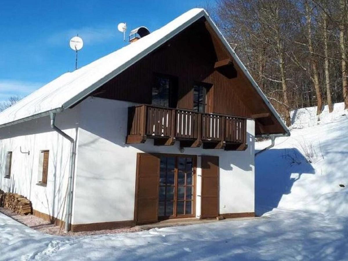 Cozy Chalet Near Ski Area In Javornik Rudník Εξωτερικό φωτογραφία
